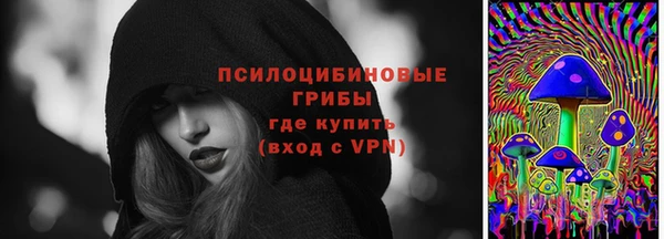 дмт Козловка