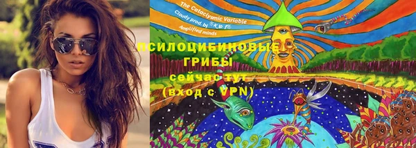 дмт Козловка
