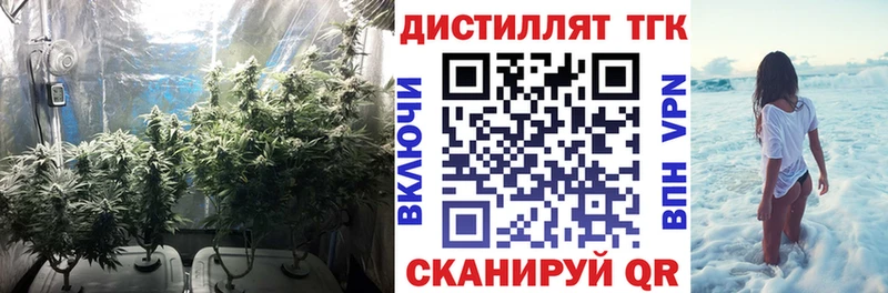 Купить закладки  Называевск  Дистиллят ТГК THC oil 
