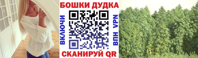 Конопля сатива  Купить где  Называевск 